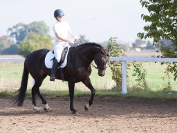 IMG_7844_web